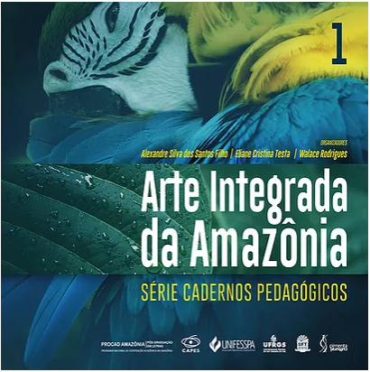 Arte integrada da Amazônia série cadernos pedagógicos
