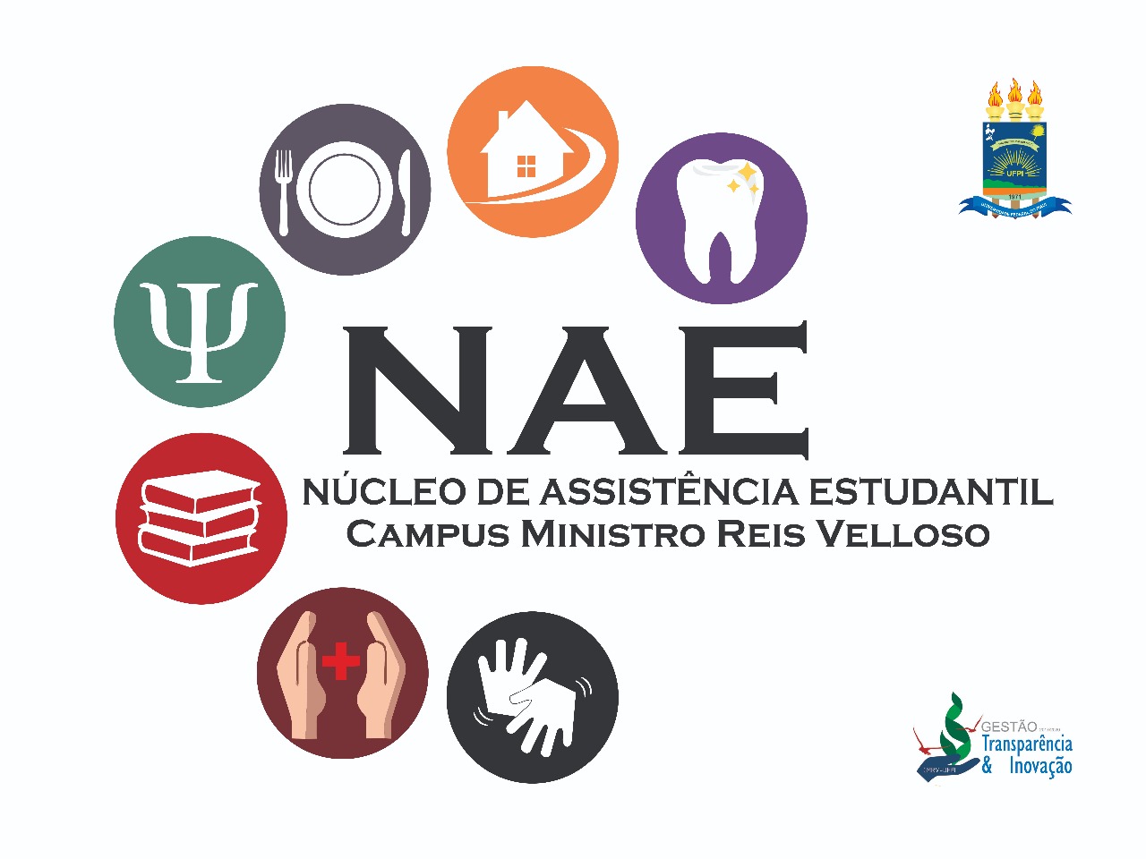logo NAE20180625181710