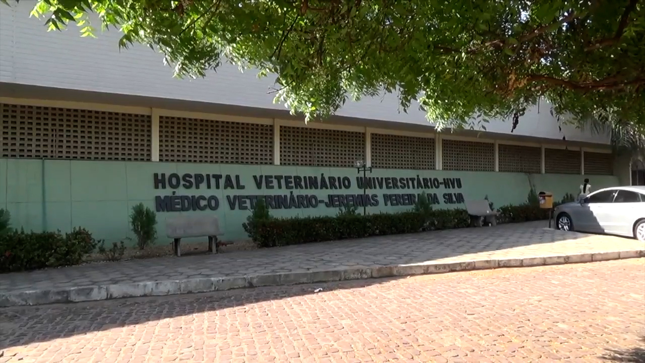 O_Hospital_Veterinário_Universitário_da_UFPI_completa_15_anos.mp4.00_00_39_24.Quadro001.jpg