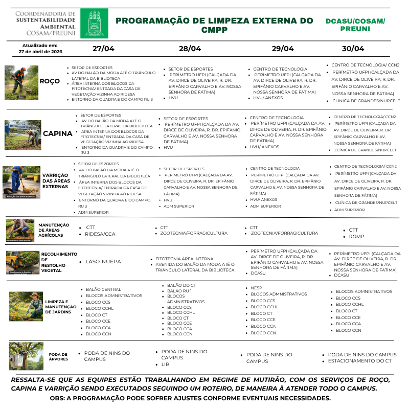 cronograma semanal