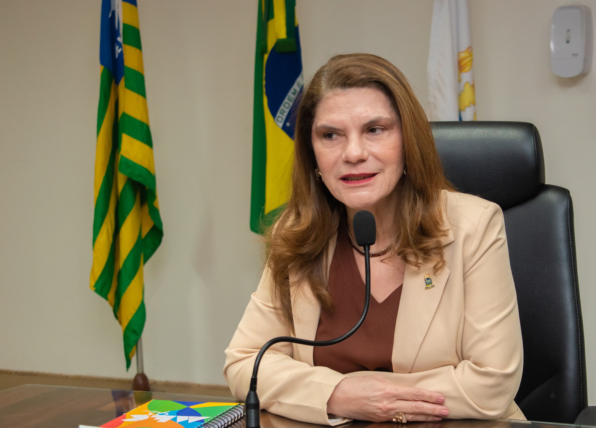 Reitora Nadir Nogueira (Foto: Arquivo/SCS)